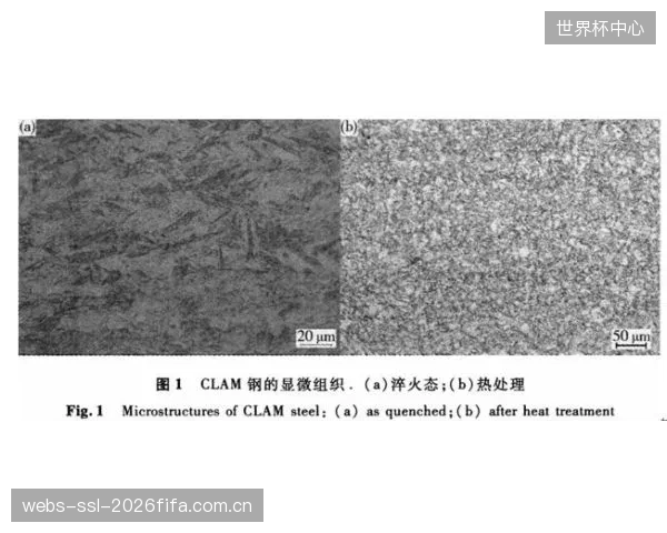 冰刀竞争已从宏观的钢材型号，下沉至微观马氏体组织的精细调控